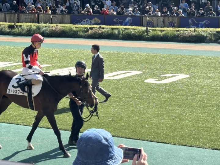 2024年11月 ストラスブール