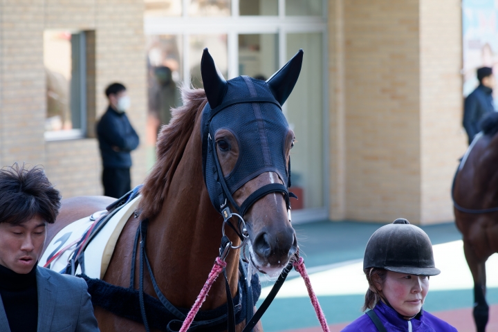 2025/1/26 中京 3歳未勝利 ラストショット