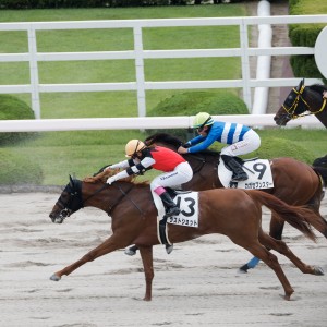 2025/6/7 阪神 3歳未勝利