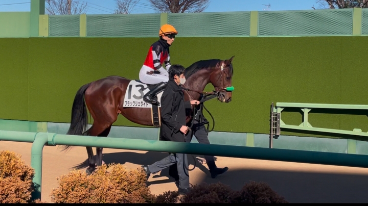 新馬戦 ブラックジェダイト