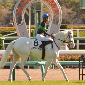 馬場入場