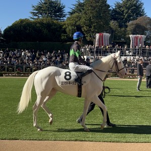 2024/11/30 2歳新馬