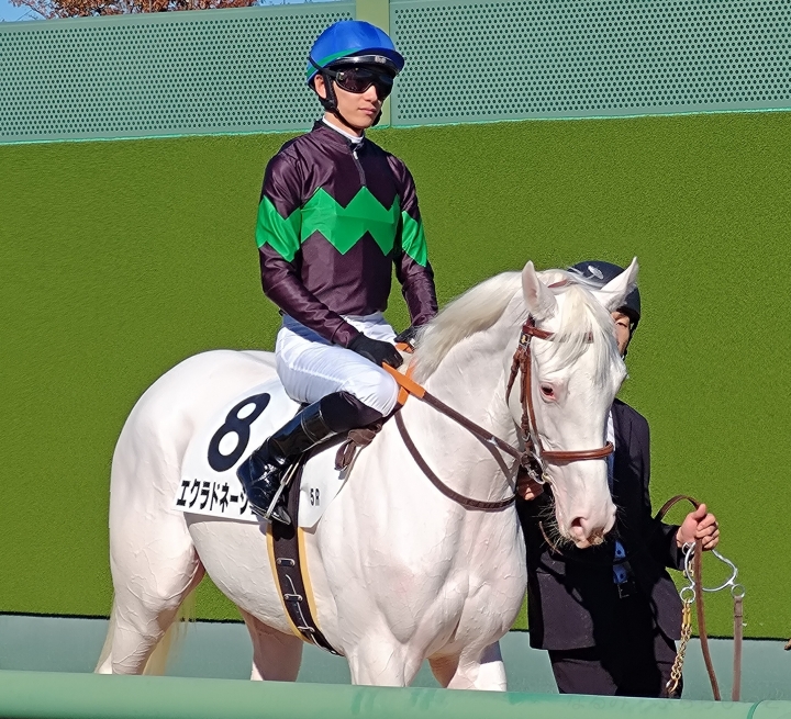 2024/11/30 2歳新馬 エクラドネージュ