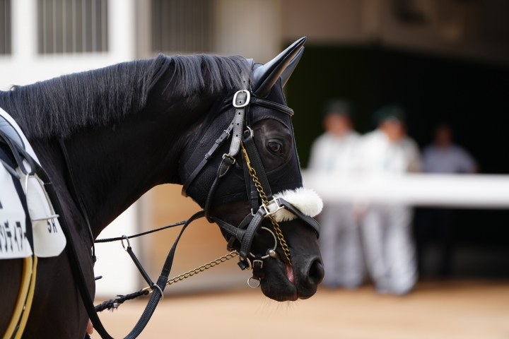 2024/9/28 2歳新馬(牝) オブシディアーナ