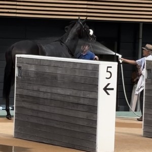 2024/9/28 2歳新馬(牝)