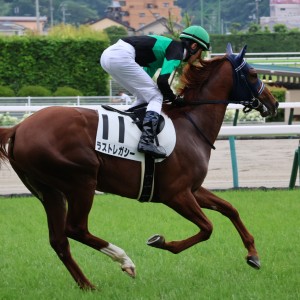 2024.6.30 新馬戦 返し馬