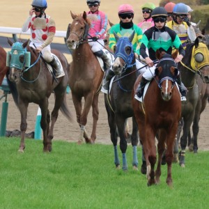 2025.3.8 中山 3歳未勝利