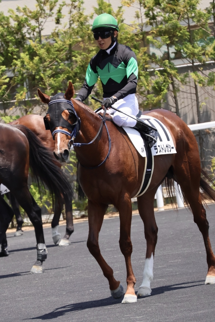 2025.6.29 福島 ３歳未勝利 レース後 ラストレガシー