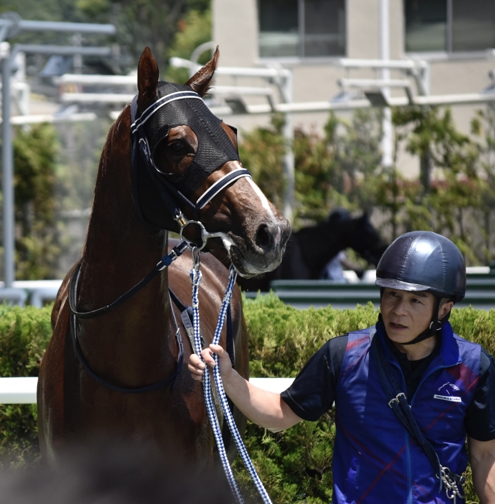 2025年6月 ラストレガシー