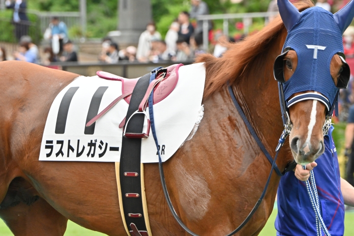 2025年5月 ラストレガシー