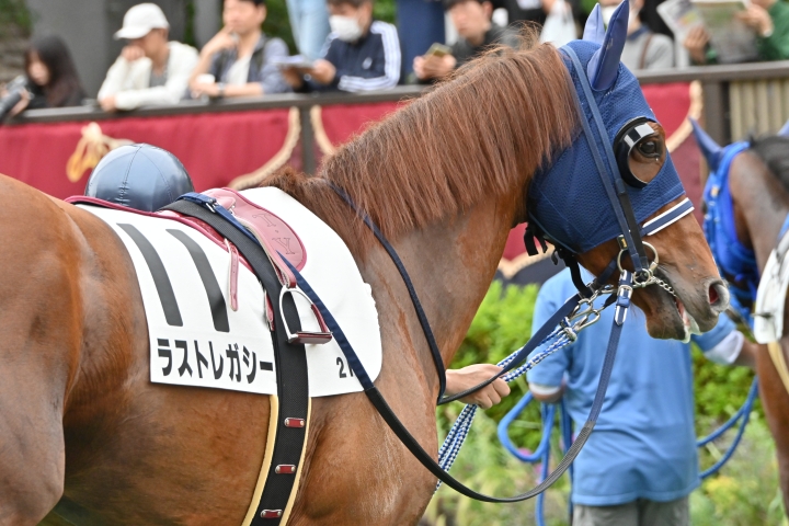 2025年5月 ラストレガシー