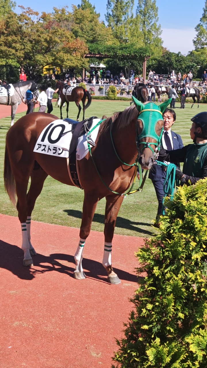 2024/10/14 2歳新馬 アストラン