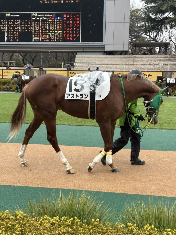 2025/2/2 3歳未勝利 アストラン