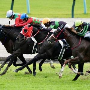 2025/10/25 3歳以上2勝クラス