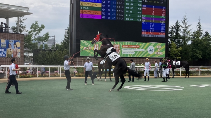 パドックで荒ぶる王👑 キングスコール