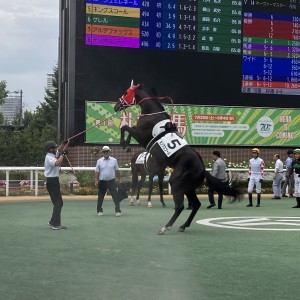 パドックで荒ぶる王👑