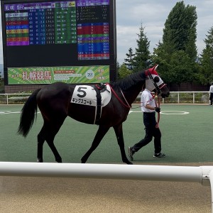 2024/7/21 2歳新馬