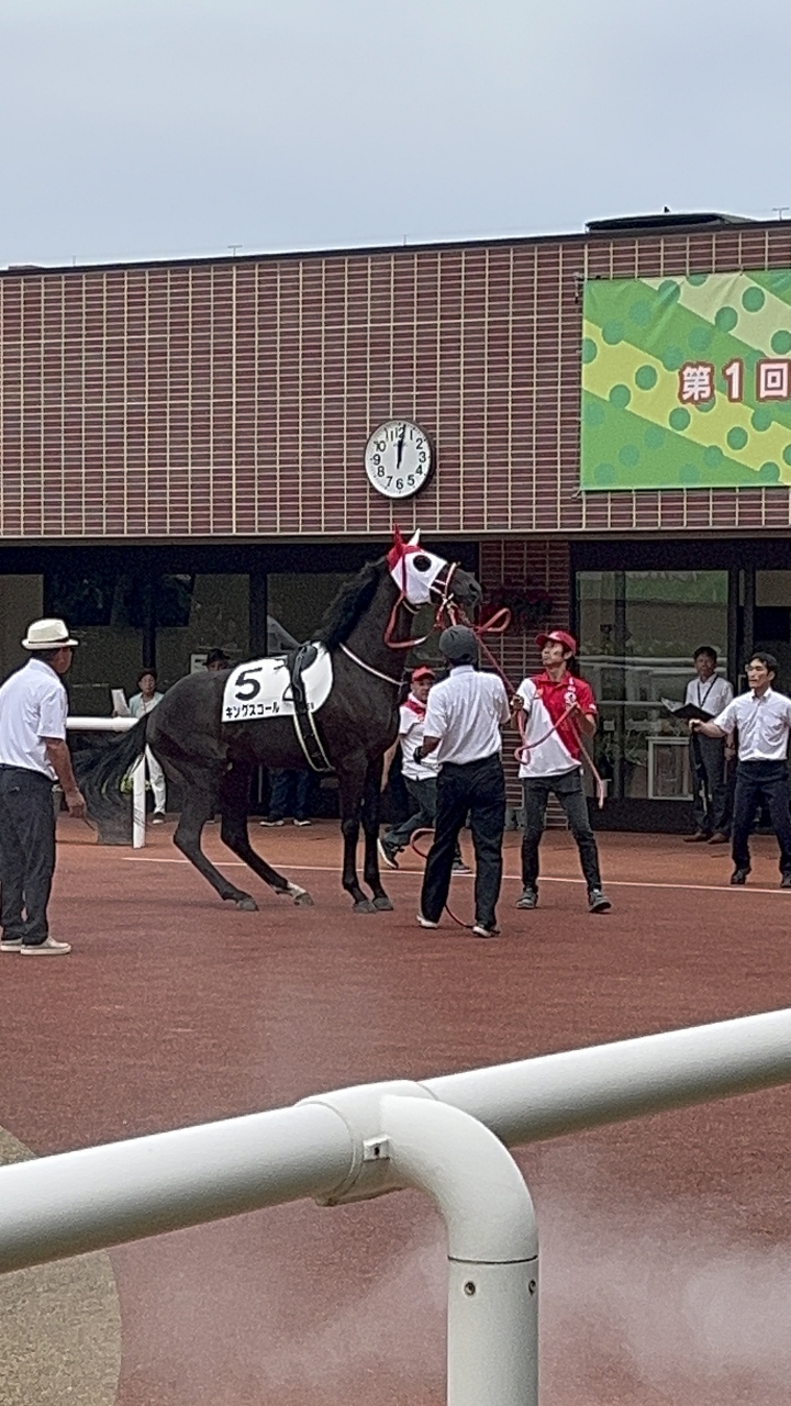 2024/7/21 2歳新馬 キングスコール