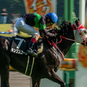2026/5/16 六社S(3勝クラス)
