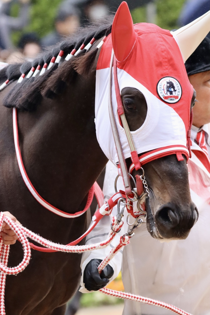 2025年3月 キングスコール
