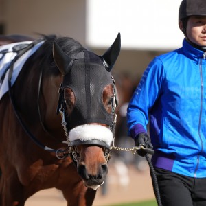 2024/12/14 2歳新馬