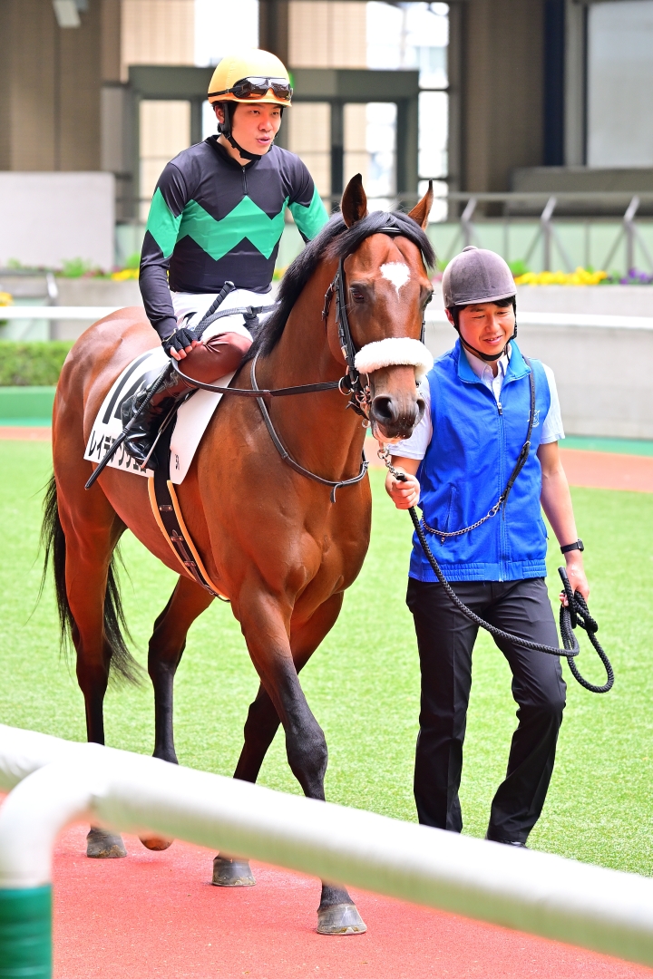 パドック レイデアンジェロ