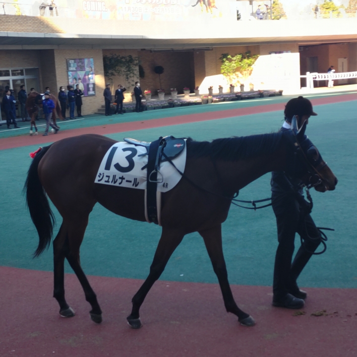 2024/12/15 2歳未勝利 ジュルナール