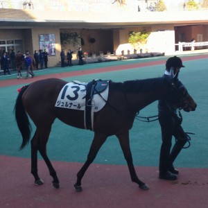 2024/12/15 2歳未勝利