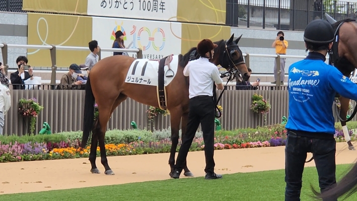 2025/5/25 3歳未勝利(牝) ジュルナール
