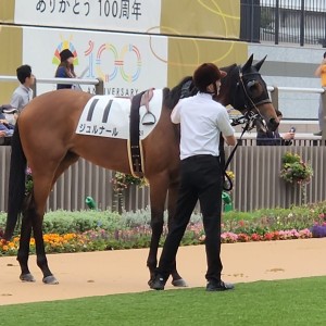 2025/5/25 3歳未勝利(牝)