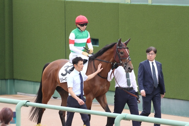 2勝クラス（4/5）馬場入り前 リバーバレイト
