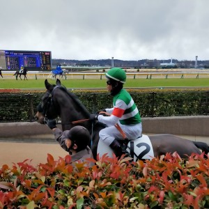 東京3歳未勝利