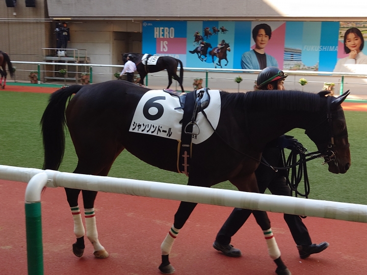 2024年11月 シャンソンドール