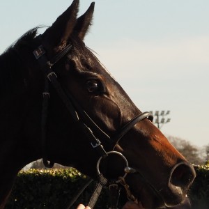 2024/12/28 初勝利