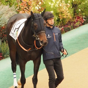 2025/11/23  3歳以上1勝クラス(牝)  