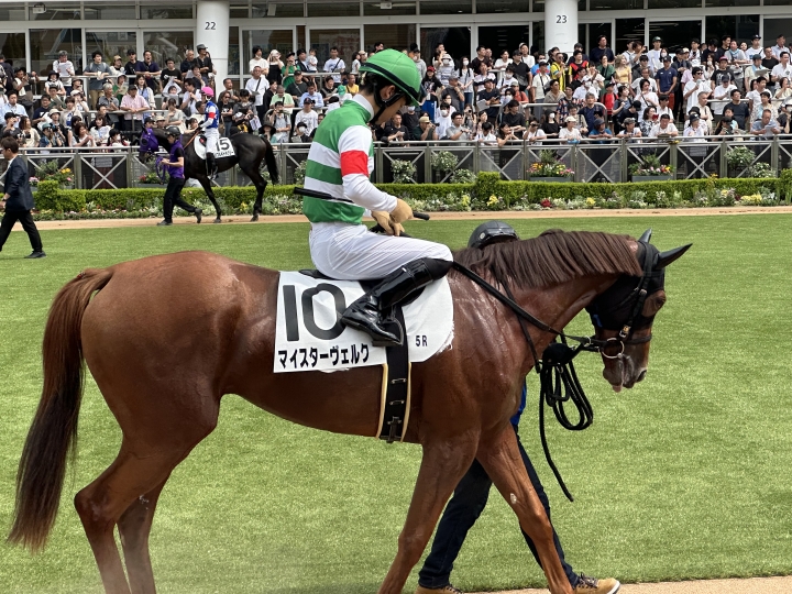 2024年9月 マイスターヴェルク