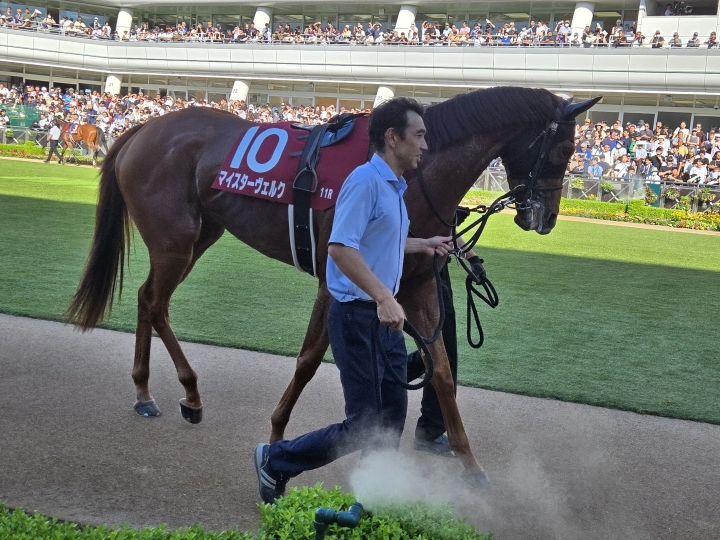2025年9月7日 マイスターヴェルク