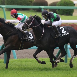 2026年安房特別 ゴール前