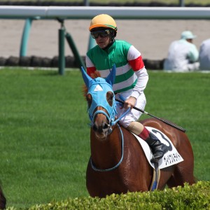 新馬戦