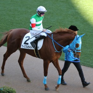 騎手とパドック