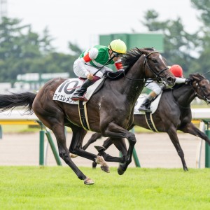 2024/8/25 2歳新馬(牝)
