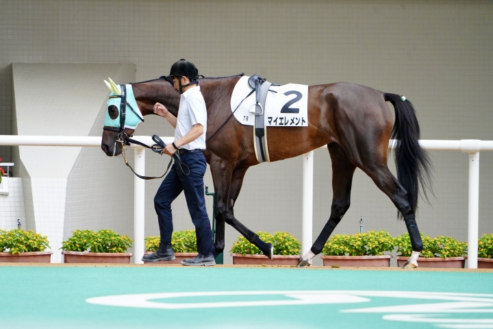 2025/9/20 3歳以上1勝クラス マイエレメント
