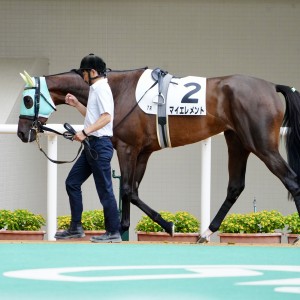 2025/9/20 3歳以上1勝クラス