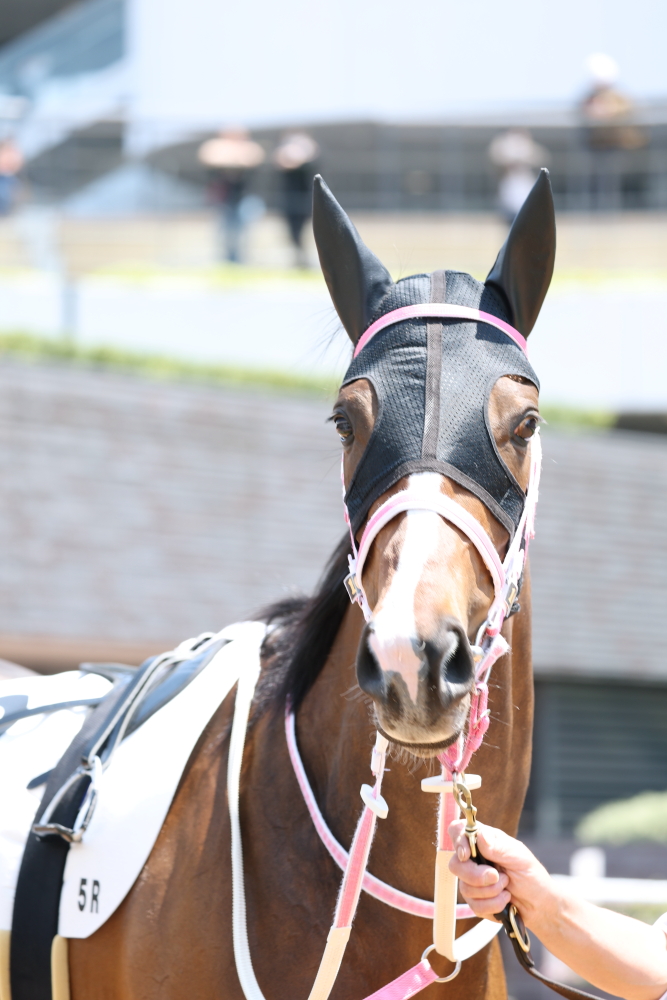 2025年4月 エスタンシア