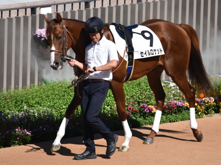 ２戦目パドック セイルロケット