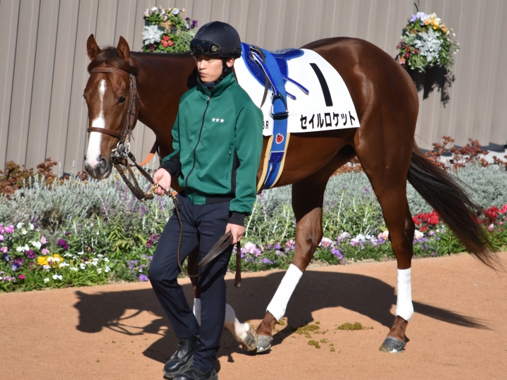 ３戦目パドック セイルロケット