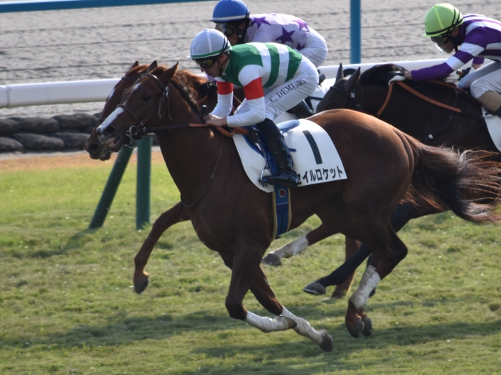 ３戦目最後の直線 セイルロケット