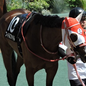 2026/5/30 富嶽賞(2勝クラス)