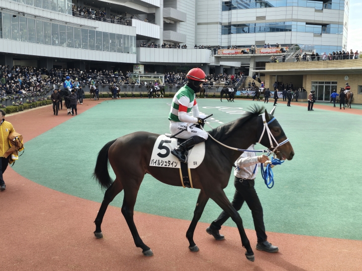 メイクデビュー中京 バイルシュタイン