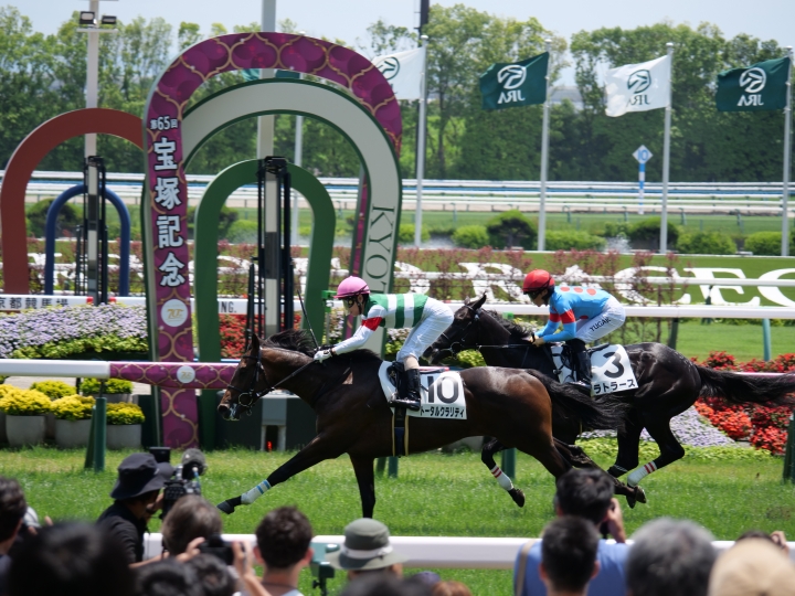 メイクデビュー京都　芝1600 トータルクラリティ